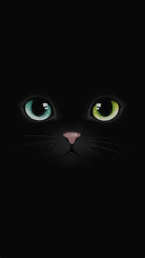 Background Black And Cat Afbeelding Papel De Parede De Gato