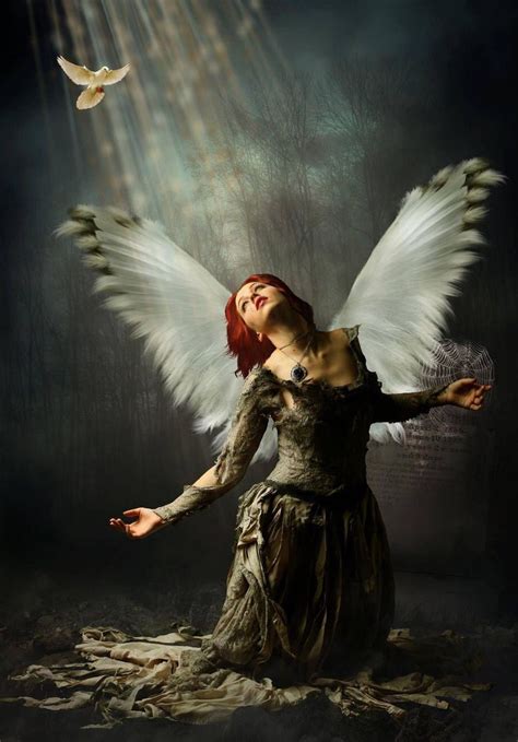 Pin By Lavelle Hatton On Angels And Wings Fallen Angels Photography