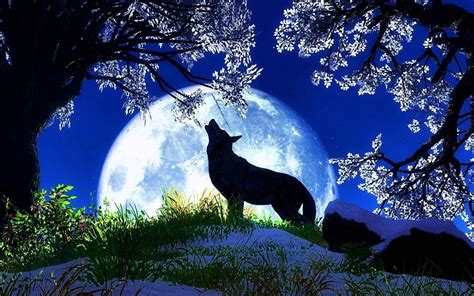Wolf Howling At The Moon Wallpapers Hd Wolf Wallpaperspro
