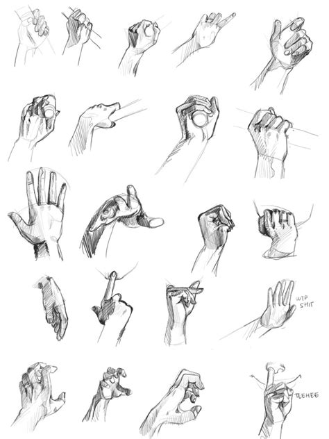 Hand Study 1 By Shattered Earth On Deviantart