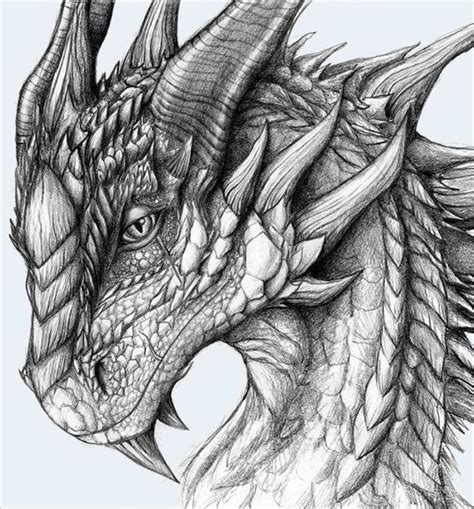 Image Result For Mythical Dragons Drawings Realistic Dragon Dragon