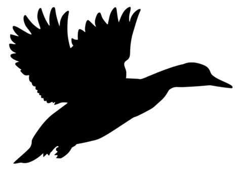 Flying Duck Window Decal Mailbox Decal Laptop Decal Ebay