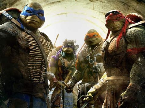 Seth Rogen Is Producing Teenage Mutant Ninja Turtles Reboot