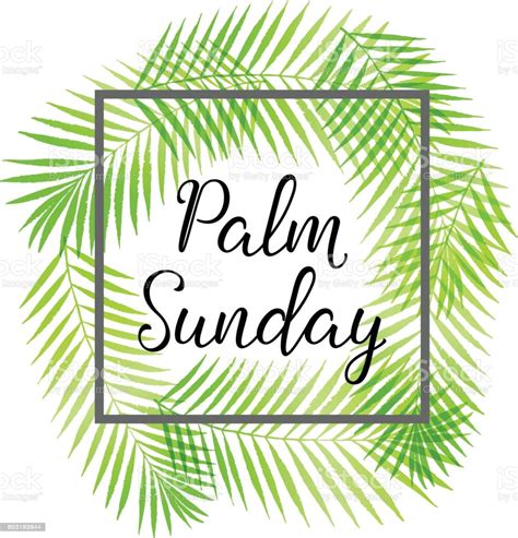 Palm sunday is a festival celebrated by the christian community. Palm Sunday Holiday Card Poster With Palm Leaves Border Frame Vector Background Stock ...