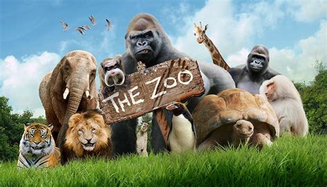 The Zoo Tv Series 2017 Imdb