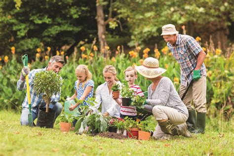 Gardening Helps Seniors Grow Healthier Jewish Rhode Island