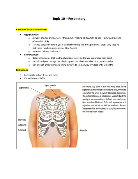Topic 10 Topic 10 Respiratory Childrens Respiratory System Upper