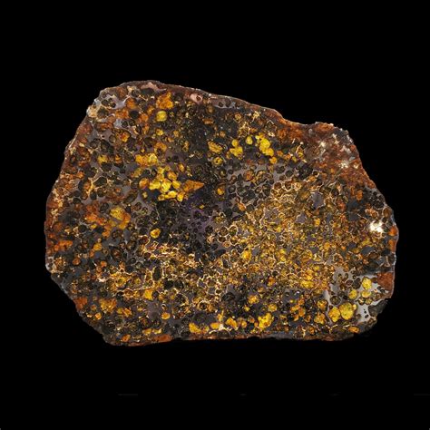 Pallasite Meteorite Slice A W Meteorites Touch Of Modern