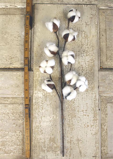 [new] cotton stems 3 stems pack 10 cotton buds stem 20 tall farmhouse style floral display f