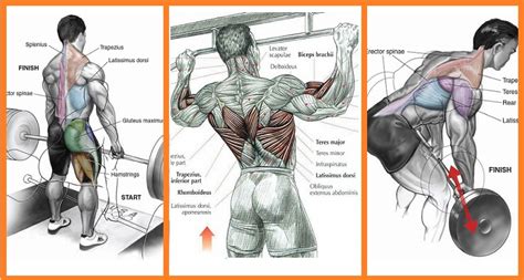 Building Back Muscles 3 Mass Building Back Exercises All