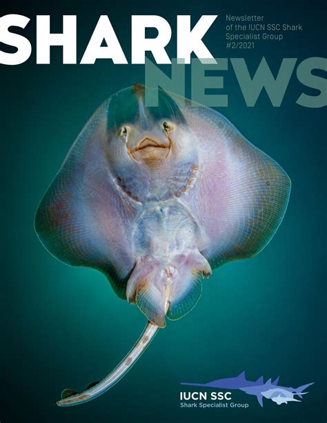 Shark News Issue 02 July 2021 By Iucn Ssc Shark Specialist Group
