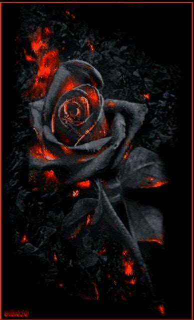 Dark Gothic Rose  By •°♡°•bianca•°♡°• Gothic Wallpaper Black