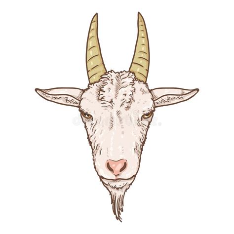 Goat Head Cartoon Stock Illustrations 6824 Goat Head Cartoon Stock