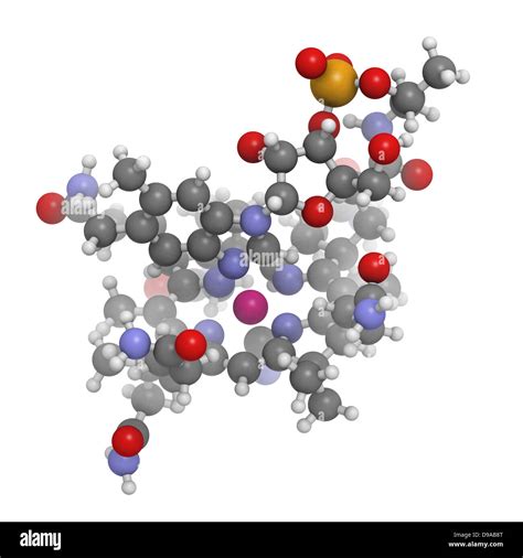 Vitamin B12 Cyanocobalamin Molecular Model Atoms Are Represented As
