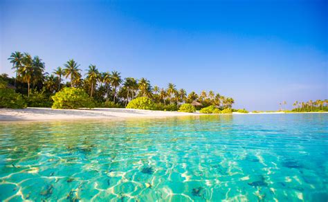 Beautiful Blue Water At A Tropical Beach 1738866 Stock Photo At Vecteezy