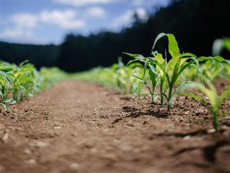 Claves Para Una Agricultura Sostenible Regaber