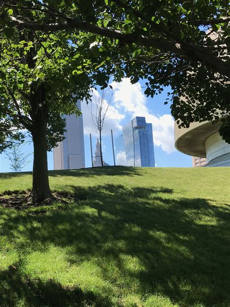 Delivered in every country in europe. Cleveland, Ohio | Plants, Tree, Garden