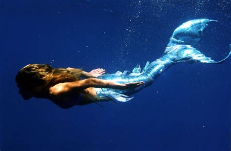 Siren Of The Sea Mehgan Heaney Grier Mermaid Landing Real Mermaids