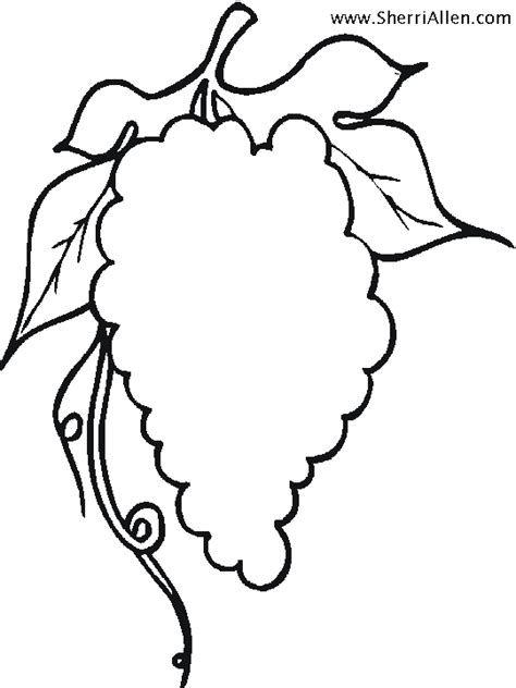 Grape Vine Coloring Page Grape Vine Coloring Page Coloring Pages