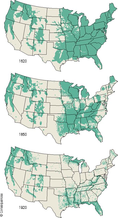 The Forest Cover Of The United States Mapped Vivid Maps Map United