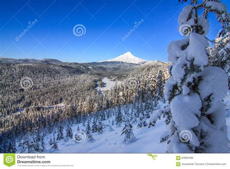 Beautiful Winter Vista Of Mount Hood In Oregon Usa Stock Photo