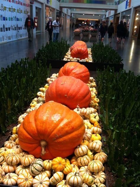 Just a few of our northpark mall dallas apartment listings. Fall at Northpark Mall Dallas, Tx | Pumpkin, Vegetables ...