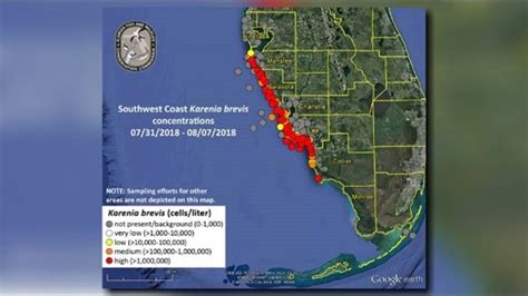 New Map Shows Red Tide Problems Worsening Along Floridas Coast