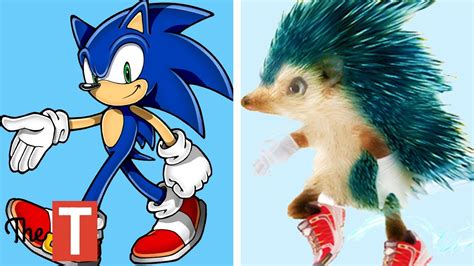 10 Sonic Characters In Real Life Youtube