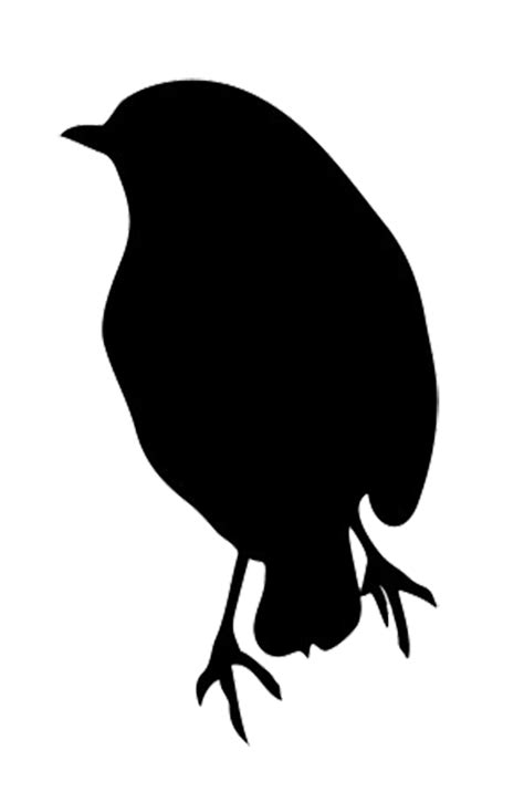 Silhouette Of Robin Bird Silhouette Eagle Silhouette Silhouette