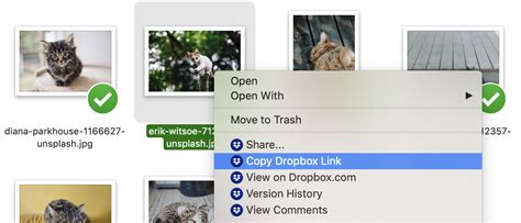 How To Create A Dropbox Link And Share Any File