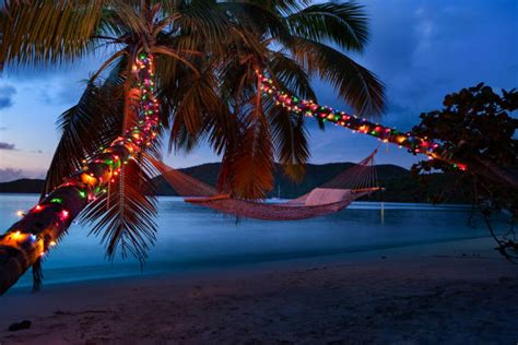 Christmas Palm Trees At Sunset On A Caribbean Beach Stock