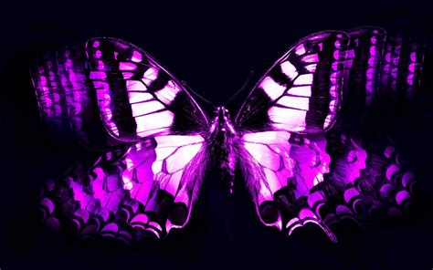98 985243 Fresh Animated Butterfly Wallpaper For Mobile Real Dark