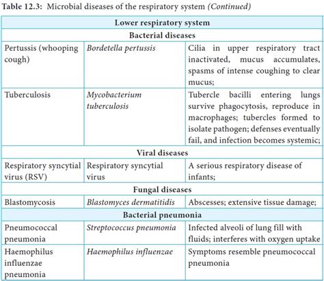 Respiratory Tract Infections Medical Microbiology