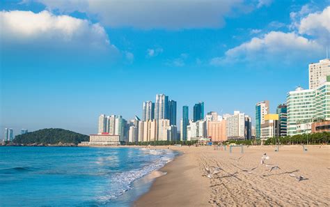 Busan Travel Gyeongsangnam Do South Korea Lonely Planet