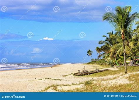 Deserted Beach Surrounded By Coconut Trees And With A Rudimentary