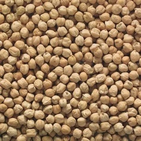 Desi Chickpea High In Protein At Rs Kg In Rajkot ID