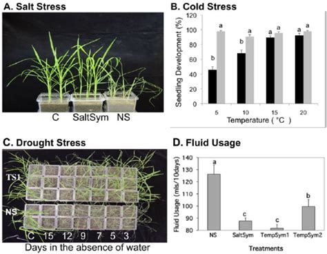 Effects Of Salt Cold And Drought Stress And Water Usage In S And Ns
