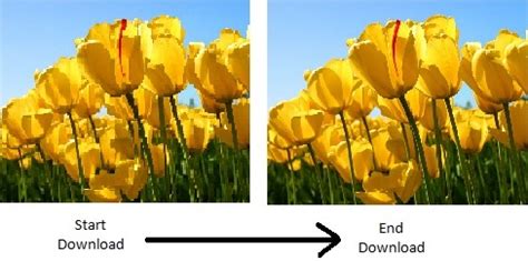 Wait till your file will be ready and click download. Image Format - Baseline JPEG vs. Progressive JPEG ...