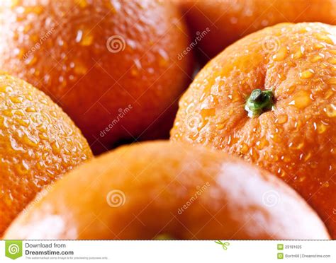 Oranges Close Up Stock Image Image Of Sweet Juicy Peel 23181625
