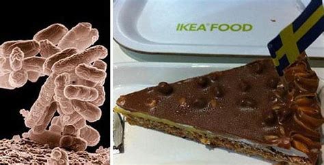 Detectan Bacterias Fecales En La Tarta De Chocolate De Ikea