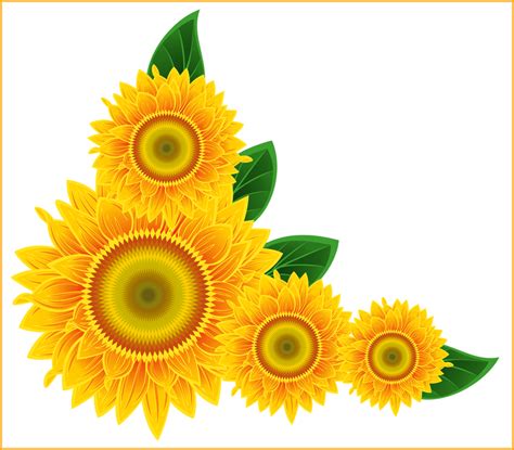 Garden Clipart Sunflower Garden Sunflower Transparent