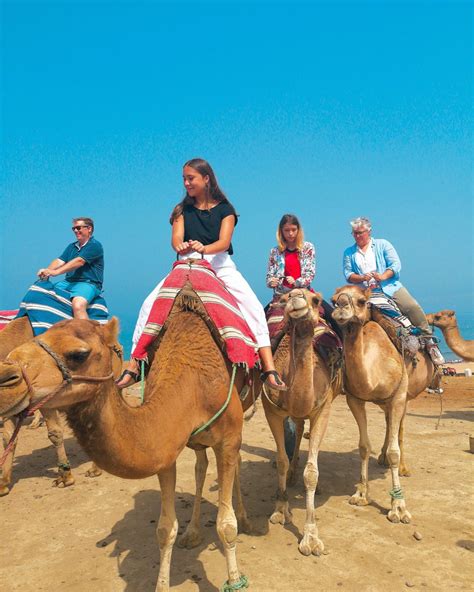 Camel Ride On Tangier Beach Tour Guide Achraf Benamar