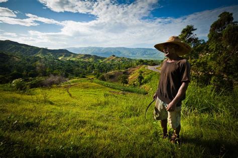 Haiti is a country in the caribbean, on the island of hispaniola, which it shares with the dominican haiti's population is estimated at 10.6 million, with several racial and ethnic groups, with blacks. Country living a farmer in Miragoane, Haiti. | Haiti ...