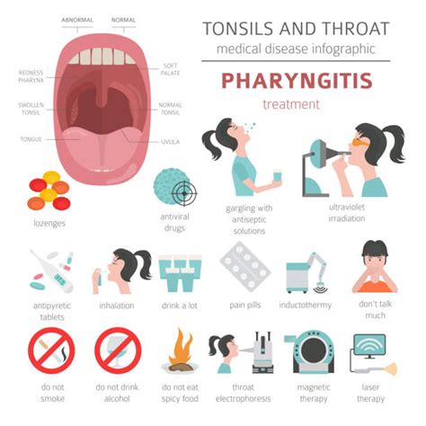Pharyngeal Tonsil Stock Photos Pictures And Royalty Free Images Istock