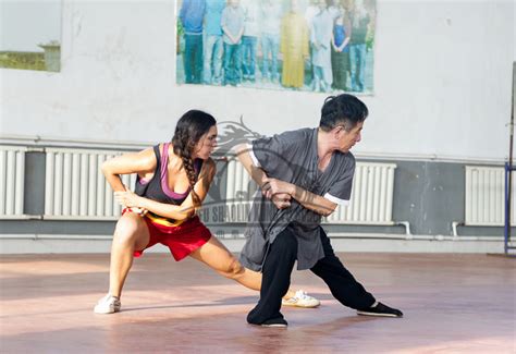 Ba Ji Fist Ba Ji Quan Qufu Shaolin Kung Fu School