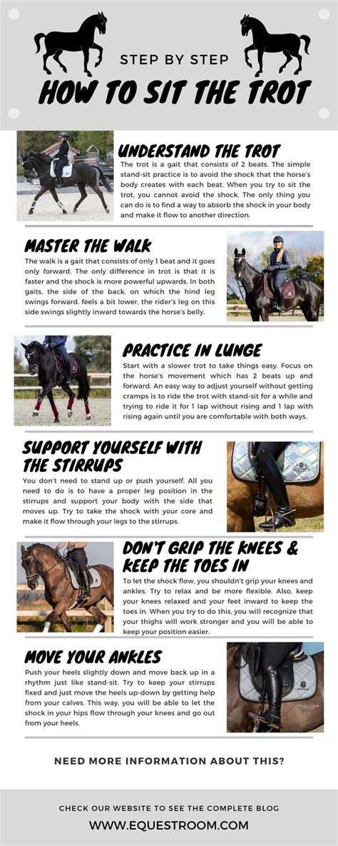 How To Sit The Trot Horseback Riding Tips Horse Riding Tips Trail
