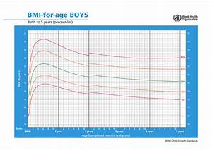 Who Boys Growth Chart Bmi For Age Birth To 5 Years Percentiles