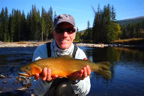 Trout Fishing In The Canadian Rockies
