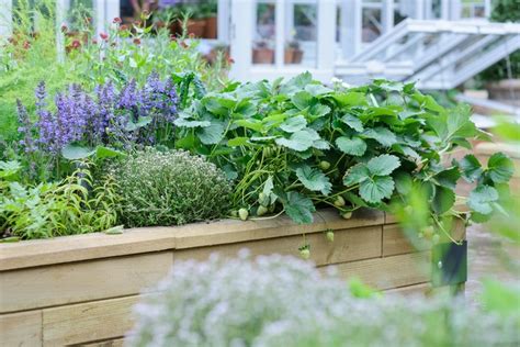 How To Create A Herb Garden Bbc Gardeners World Magazine