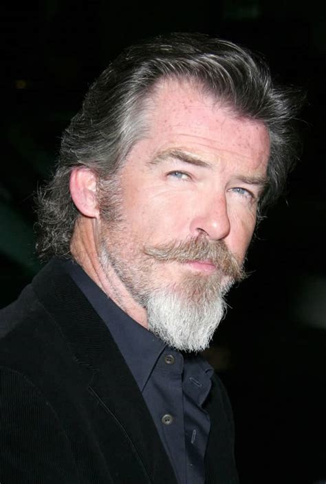 Pierce Brosnan Beard